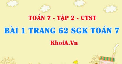 Bài 1 trang 62 SGK Toán 7 tập 2 Chân trời sáng tạo